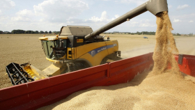 Россию ожидают сложности при экспорте пшеницы – аналитики